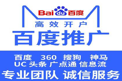 SEM主管实战：案例分析与优化策略